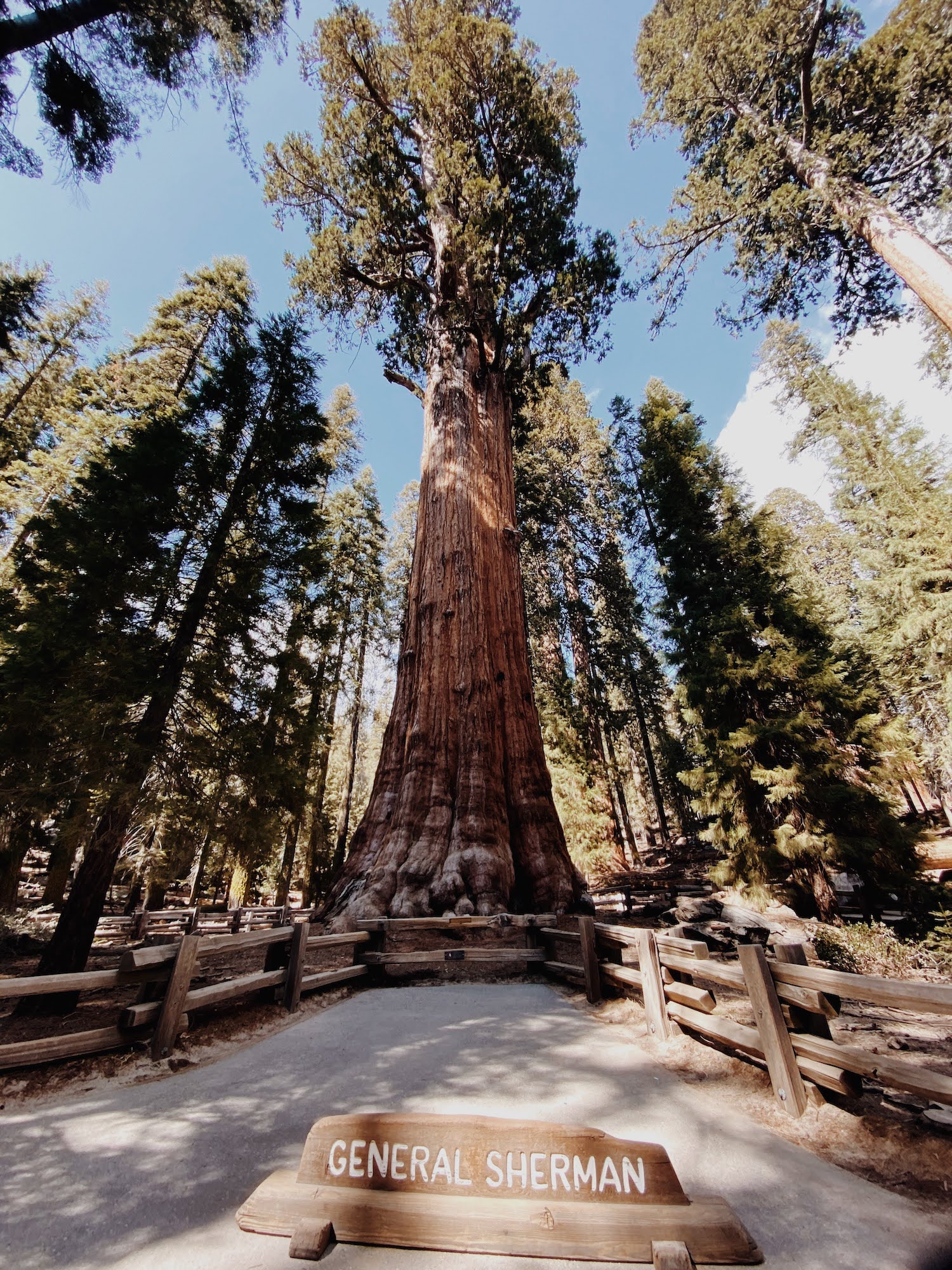 Top 3 Destinations to Visit in Sequoia National Forest, Roadtrip through California